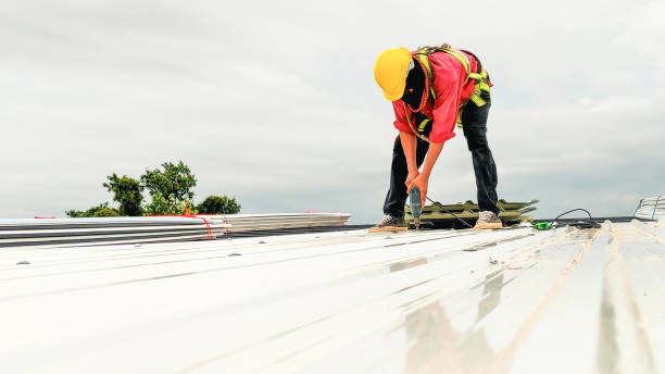 Best Asphalt Shingle Roofing  in Enterprise, UT