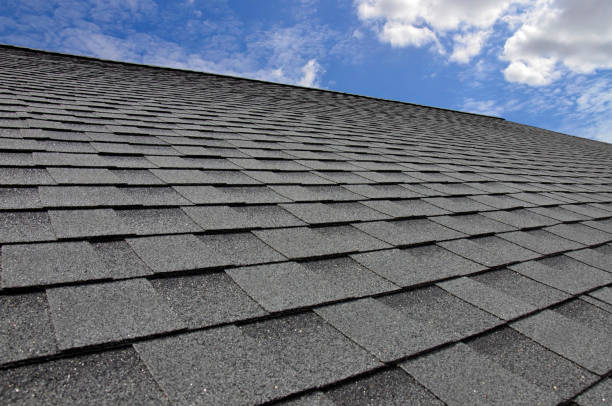 Best Roof Maintenance and Cleaning  in Enterprise, UT